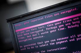 Ransomware Attacks ‘Getting Bolder’: Europol