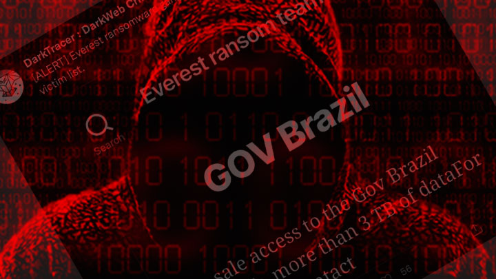 Hacker é preso no Rio de Janeiro por invadir e fraudar o Gov.br para clonar veículos